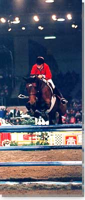 Horse Jumping