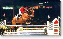 Horse Jumping