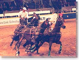 Horse Jumping