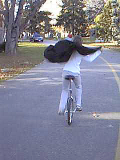 Amanda flutters in the wind